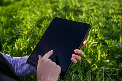 October 2022 / KANGAROO-FLAT-0260