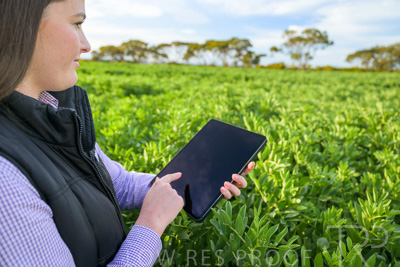 October 2022 / KANGAROO-FLAT-0262