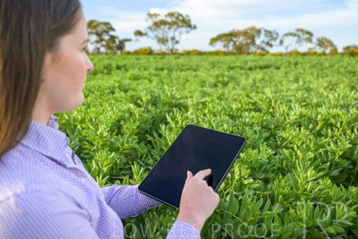 October 2022 / KANGAROO-FLAT-0266