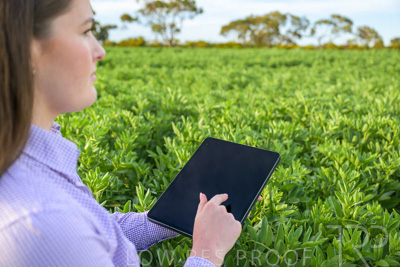 October 2022 / KANGAROO-FLAT-0267