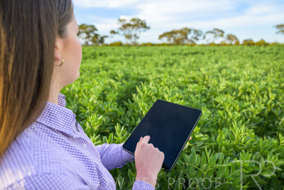 October 2022 / KANGAROO-FLAT-0268