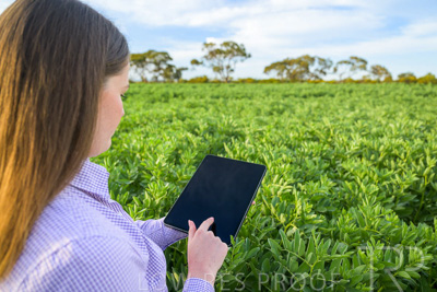 October 2022 / KANGAROO-FLAT-0270