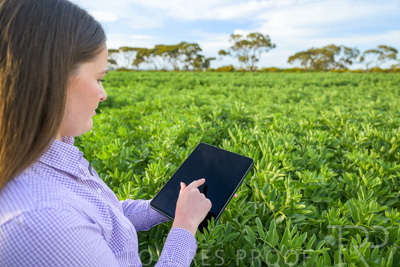 October 2022 / KANGAROO-FLAT-0273