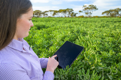 October 2022 / KANGAROO-FLAT-0276