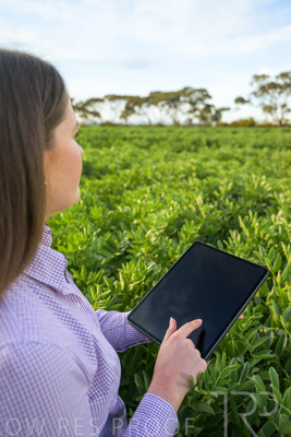 October 2022 / KANGAROO-FLAT-0280