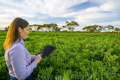 October 2022 / KANGAROO-FLAT-0283