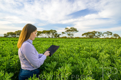 October 2022 / KANGAROO-FLAT-0285