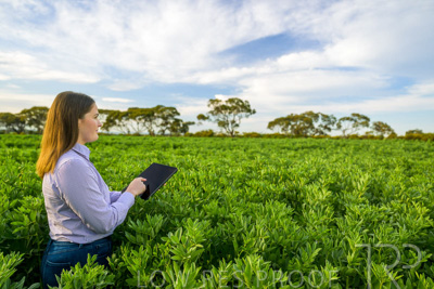 October 2022 / KANGAROO-FLAT-0286