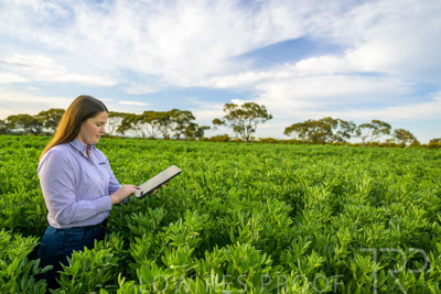 October 2022 / KANGAROO-FLAT-0289