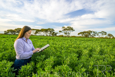 October 2022 / KANGAROO-FLAT-0290