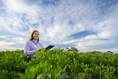 October 2022 / KANGAROO-FLAT-0296