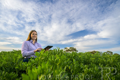 October 2022 / KANGAROO-FLAT-0297