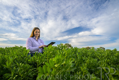 October 2022 / KANGAROO-FLAT-0299