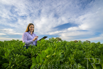 October 2022 / KANGAROO-FLAT-0300