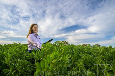 October 2022 / KANGAROO-FLAT-0301