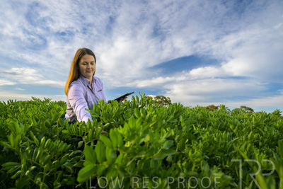 October 2022 / KANGAROO-FLAT-0303