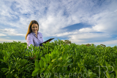 October 2022 / KANGAROO-FLAT-0304