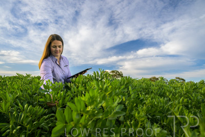 October 2022 / KANGAROO-FLAT-0306