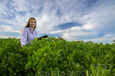 October 2022 / KANGAROO-FLAT-0309