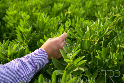 October 2022 / KANGAROO-FLAT-0311