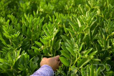 October 2022 / KANGAROO-FLAT-0314