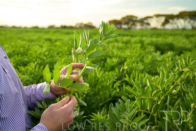 October 2022 / KANGAROO-FLAT-0318