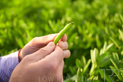 October 2022 / KANGAROO-FLAT-0322