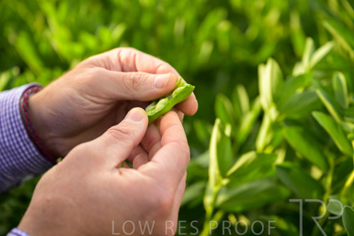 October 2022 / KANGAROO-FLAT-0323