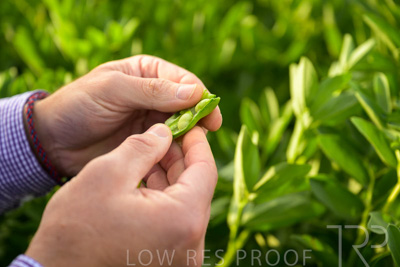 October 2022 / KANGAROO-FLAT-0324