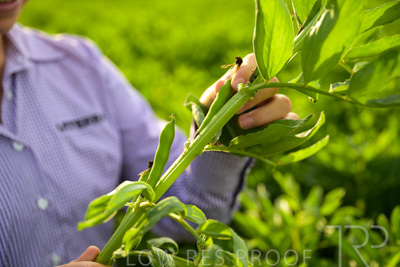 October 2022 / KANGAROO-FLAT-0328