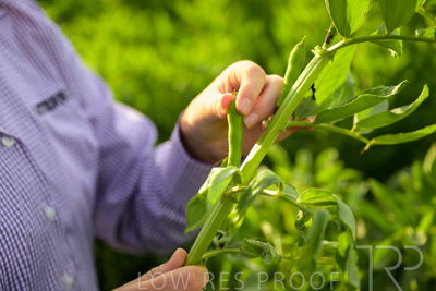 October 2022 / KANGAROO-FLAT-0331