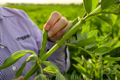 October 2022 / KANGAROO-FLAT-0334