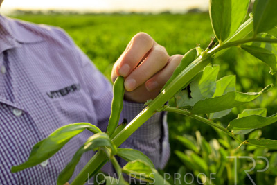 October 2022 / KANGAROO-FLAT-0335