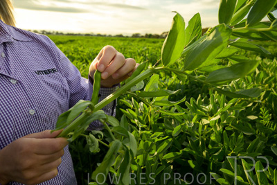 October 2022 / KANGAROO-FLAT-0342