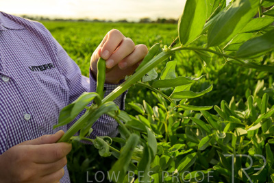 October 2022 / KANGAROO-FLAT-0343