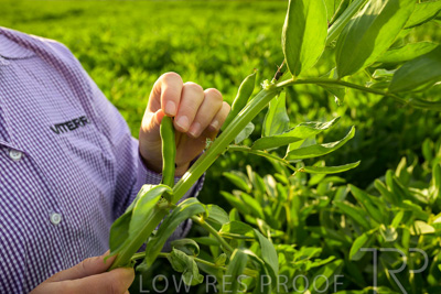 October 2022 / KANGAROO-FLAT-0346