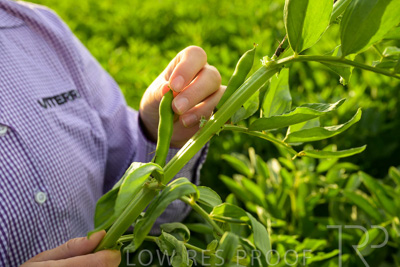 October 2022 / KANGAROO-FLAT-0348