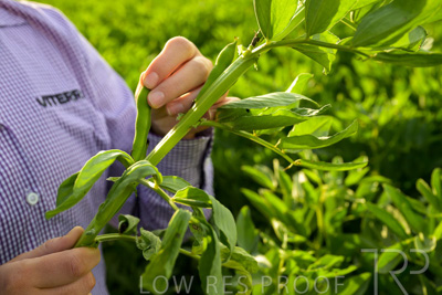 October 2022 / KANGAROO-FLAT-0349