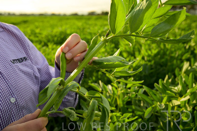 October 2022 / KANGAROO-FLAT-0351