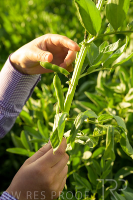 October 2022 / KANGAROO-FLAT-0358