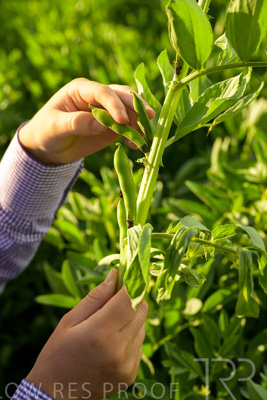 October 2022 / KANGAROO-FLAT-0359