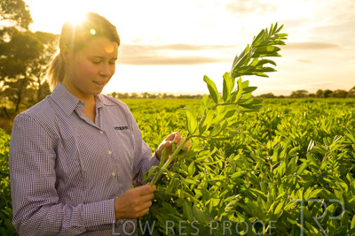 October 2022 / KANGAROO-FLAT-0362