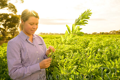 October 2022 / KANGAROO-FLAT-0365