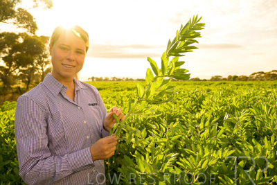 October 2022 / KANGAROO-FLAT-0366