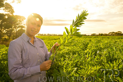 October 2022 / KANGAROO-FLAT-0370