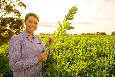 October 2022 / KANGAROO-FLAT-0375