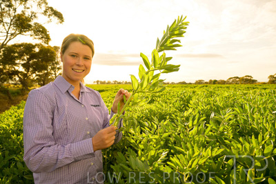 October 2022 / KANGAROO-FLAT-0376