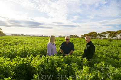 October 2022 / KANGAROO-FLAT-0378