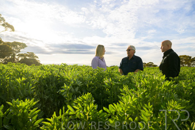 October 2022 / KANGAROO-FLAT-0382