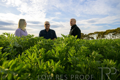 October 2022 / KANGAROO-FLAT-0383